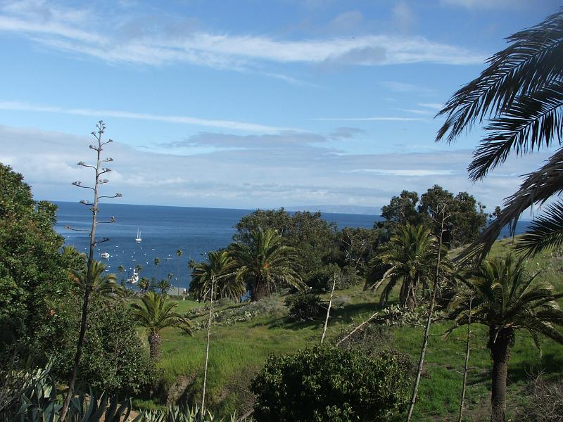 DSCF8783.JPG