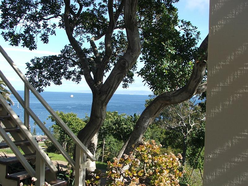 DSCF8785.JPG