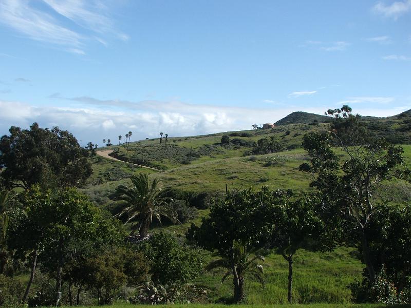 DSCF8786.JPG