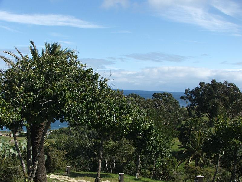 DSCF8787.JPG