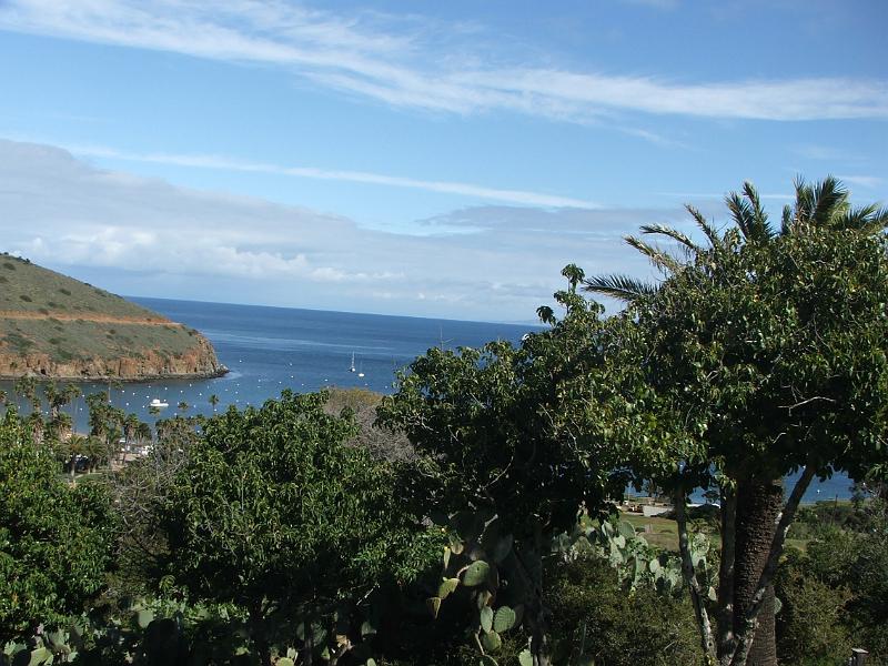 DSCF8788.JPG