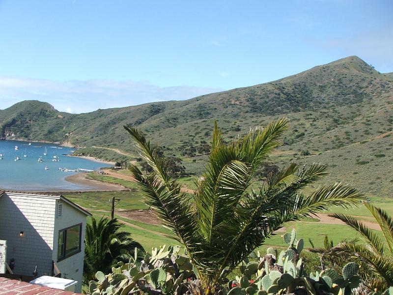 DSCF8795.JPG