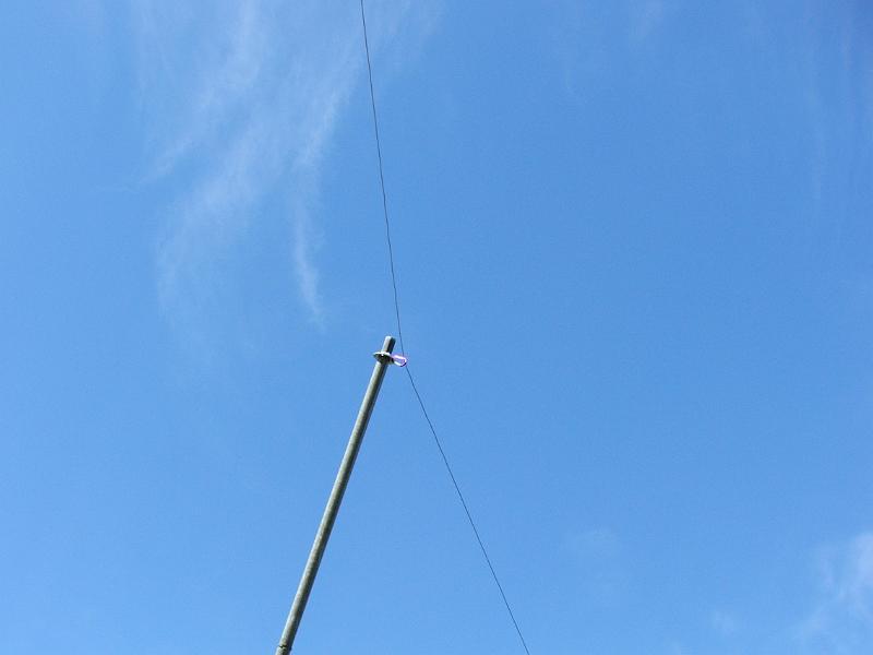 DSCF8803.JPG