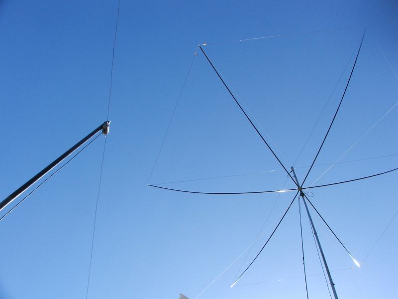 DSCF8811.JPG