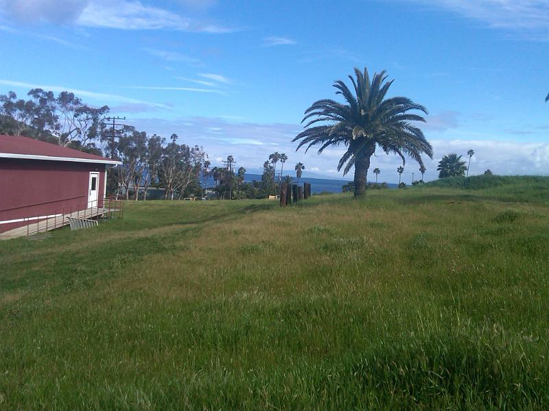 IMG00317-20110225-0955.jpg