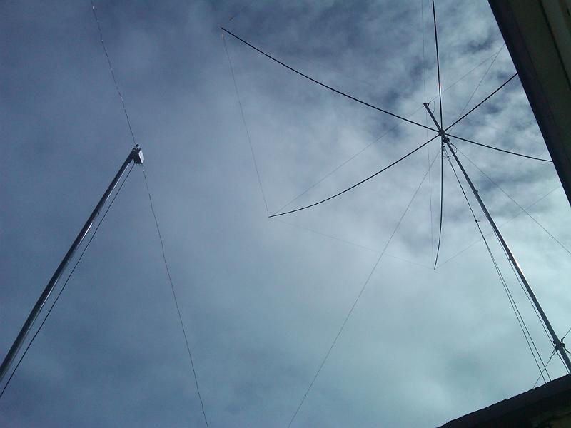 IMG00320-20110225-1203.jpg