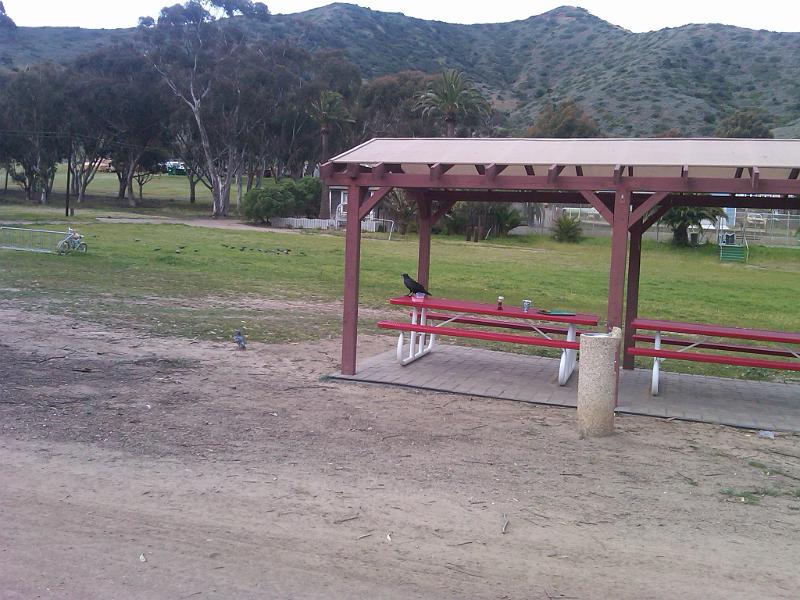IMG00321-20110225-1223.jpg