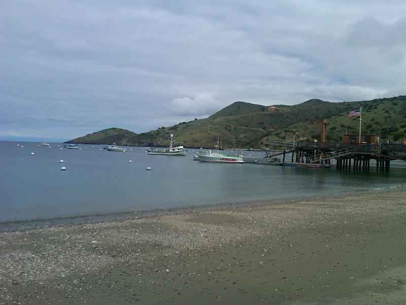 IMG00328-20110225-1410.jpg