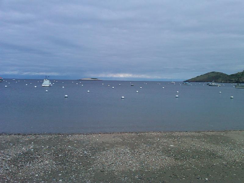 IMG00329-20110225-1410.jpg