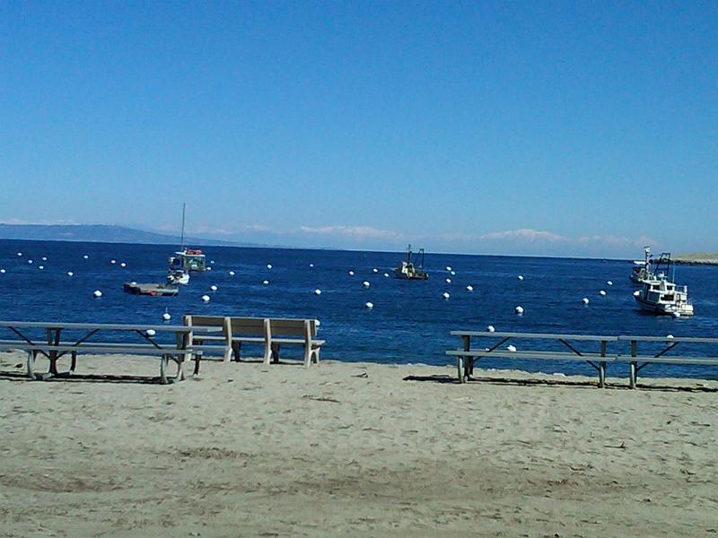 IMG00343-20110227-1047.jpg