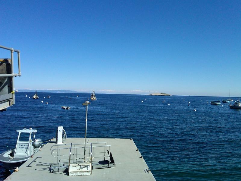 IMG00344-20110227-1050.jpg