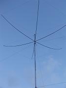 DSCF8775