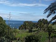 DSCF8783