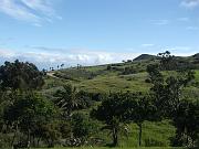 DSCF8786