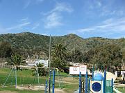 DSCF8800