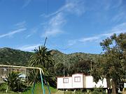 DSCF8802