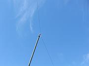 DSCF8803