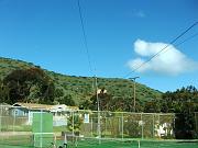 DSCF8813
