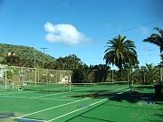 DSCF8815