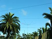 DSCF8816