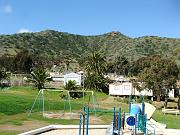 DSCF8837