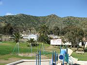 DSCF8838
