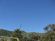 DSCF8842