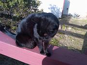 IMG00305-20110223-1606