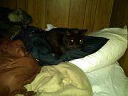 IMG00311-20110224-0629
