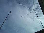 IMG00320-20110225-1203