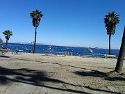 IMG00341-20110227-1046