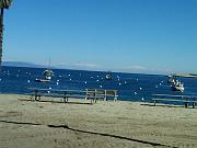 IMG00342-20110227-1046