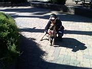 IMG00353-20110227-1310