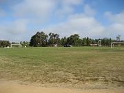 IMG_1391