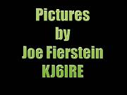 SlideTitle-JoeFierstein