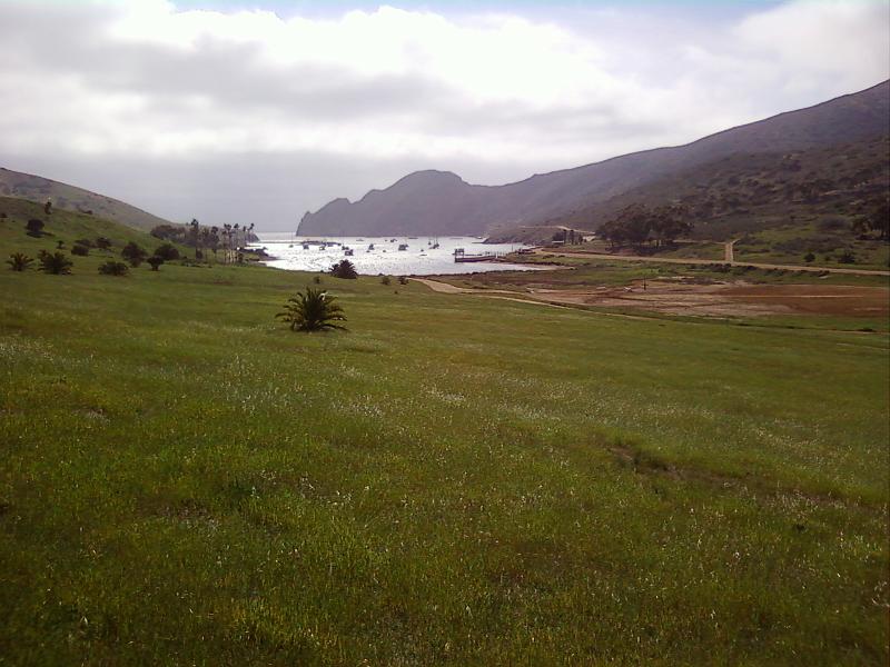 0225121337-00.jpg
