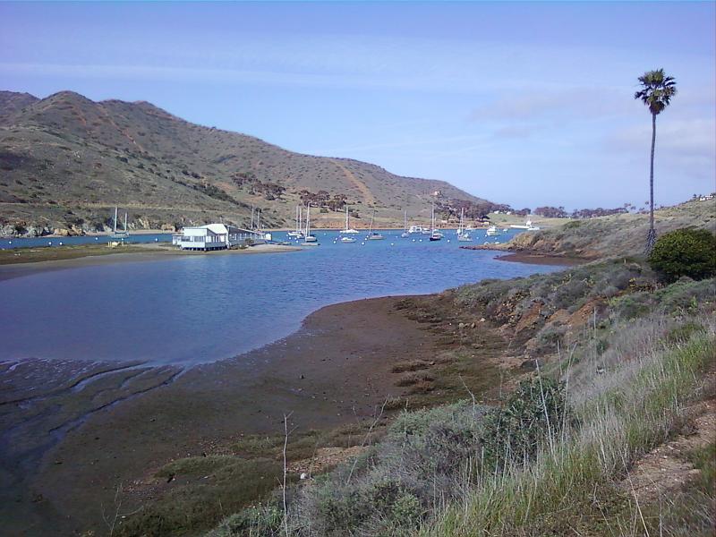 0225121410-00.jpg