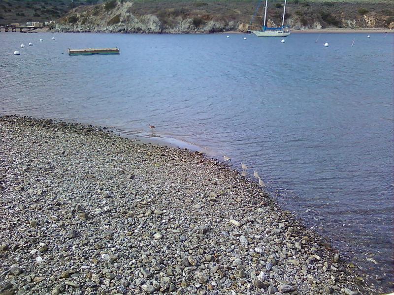 0225121417-00.jpg