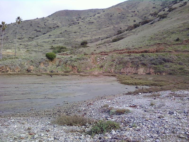 0225121430-01.jpg