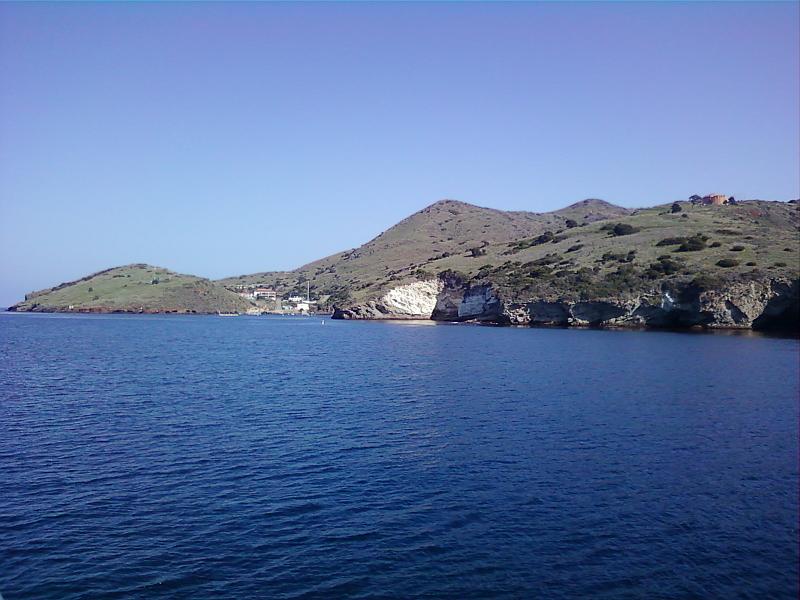 0226121428-01.jpg