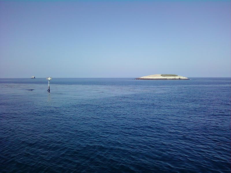 0226121429-00.jpg