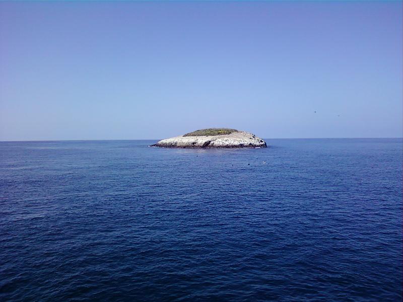 0226121430-02.jpg