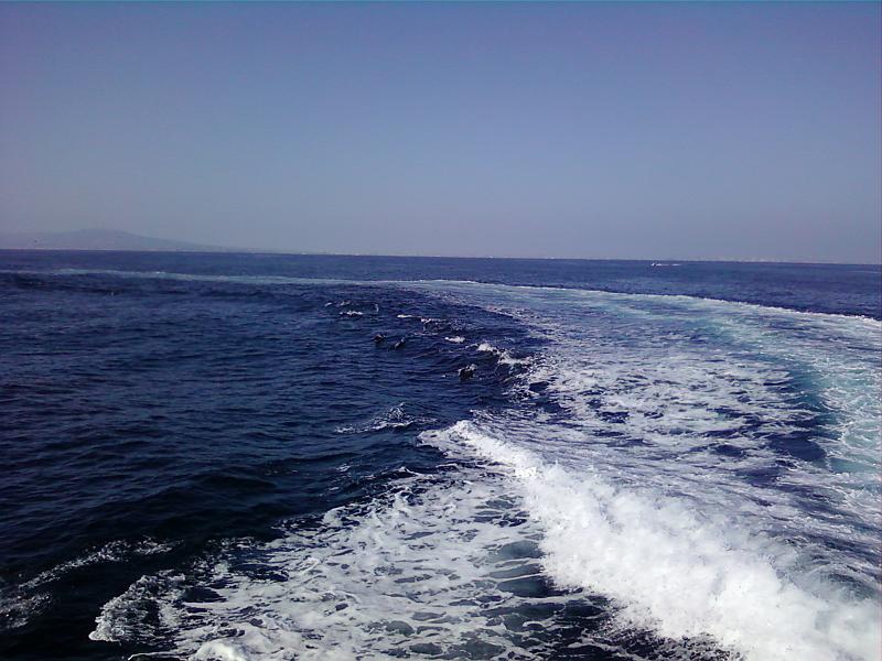 0226121508-00.jpg