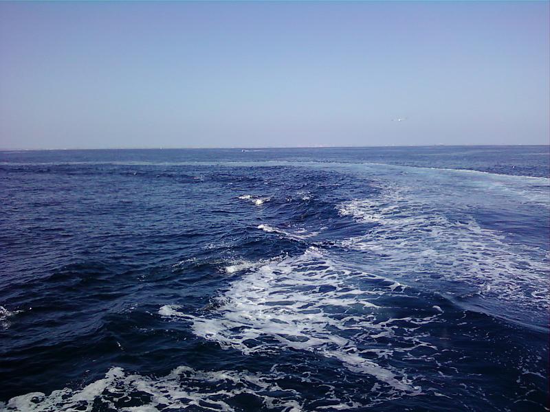 0226121508-01.jpg