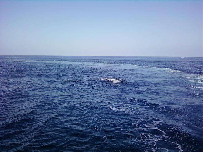 0226121508-02.jpg