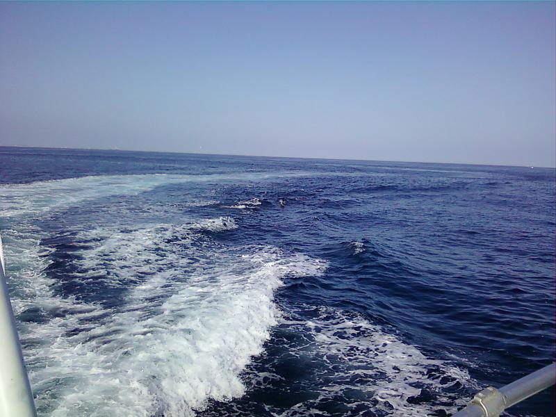 0226121509-00.jpg