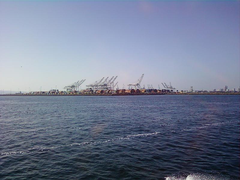 0226121531-01.jpg