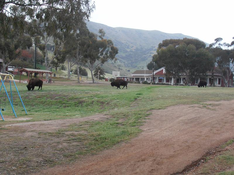 P2260062.JPG