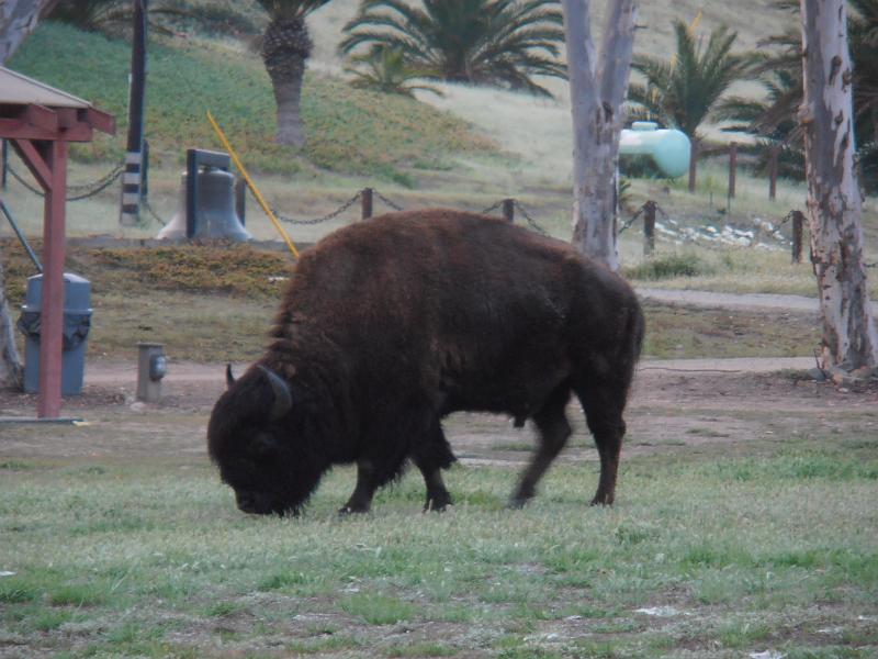 P2260063.JPG