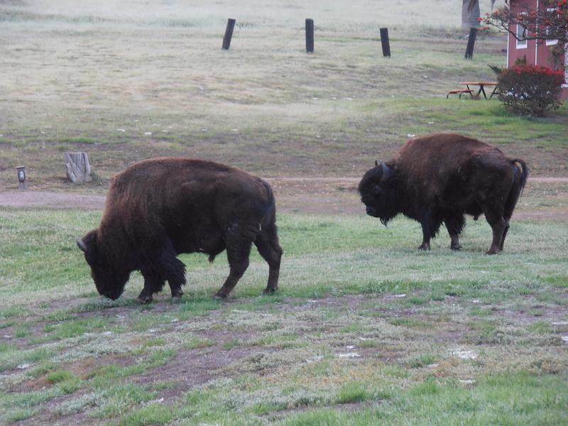 P2260066.JPG